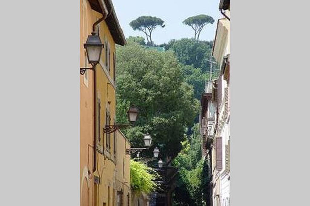 Bertani